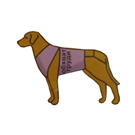 ABO Gear Wagga Wool Dog Coat